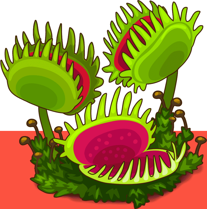 venus flytrap image