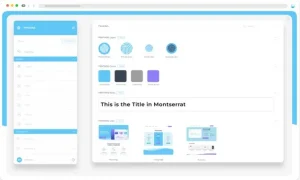 brand management display example